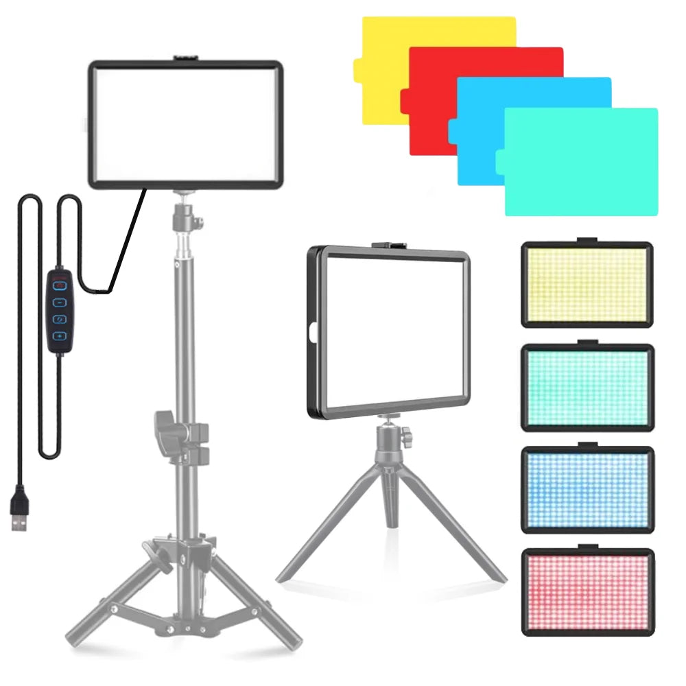 Studio Lights & Flashes